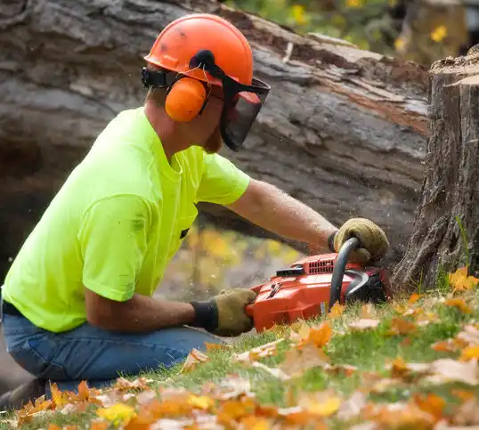 tree services Manville